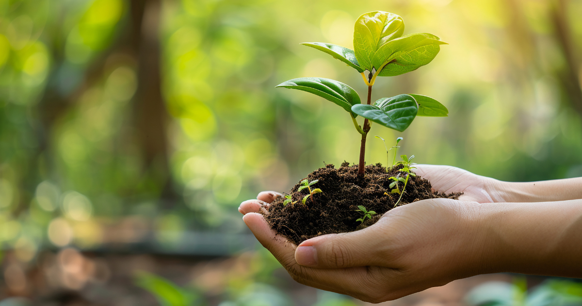 Environmentall Policy